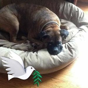 Meet your Posher, Lorraine